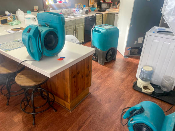 24/7 water damage repair in CO