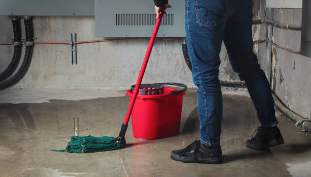 Best Carpet water damage restoration  in New Castle, CO