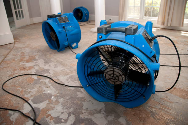 Best Flood damage cleanup  in New Castle, CO