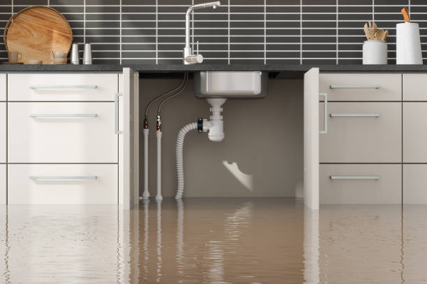 Best Water damage contractors near me  in New Castle, CO